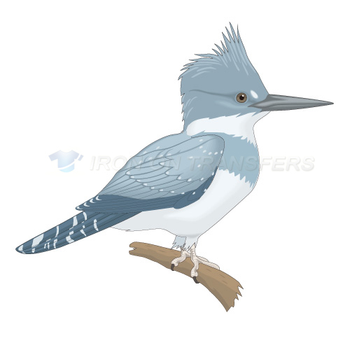 Birds Iron-on Stickers (Heat Transfers)NO.2169